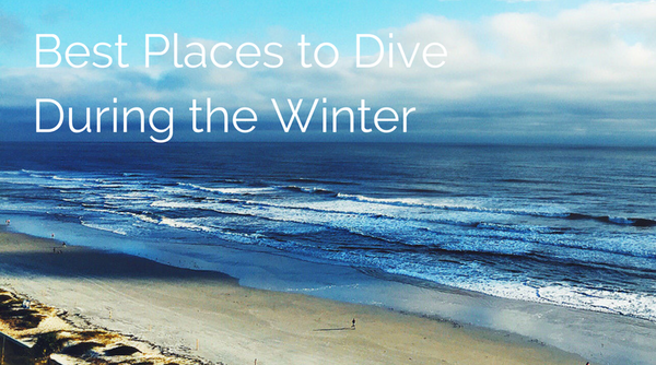 8 Best Places to Dive During the Winter