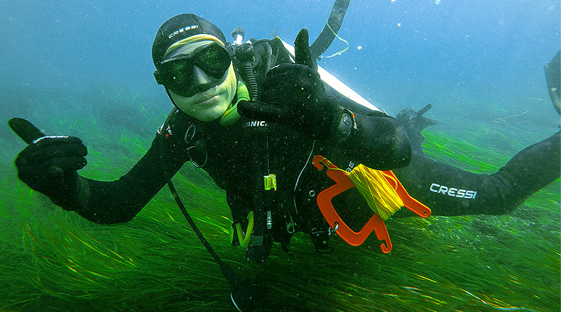 10 Helpful Reminders When Diving in Currents