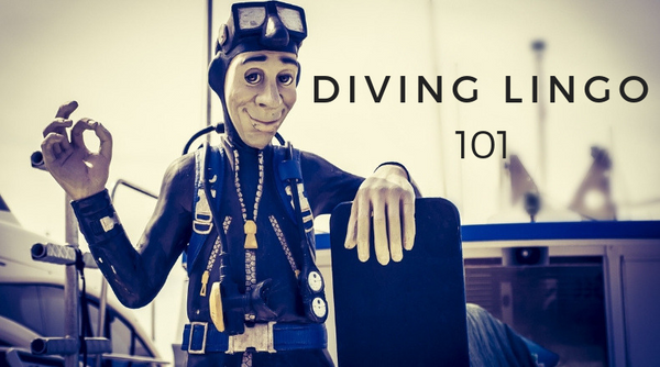 Diving Lingo 101: Glossary of Terms, Phrases and Slang
