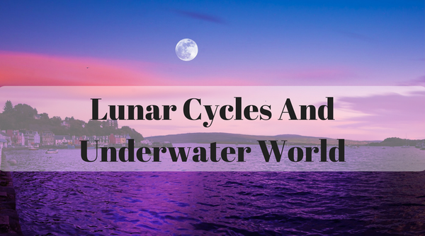 Lunar Cycles And the Underwater World