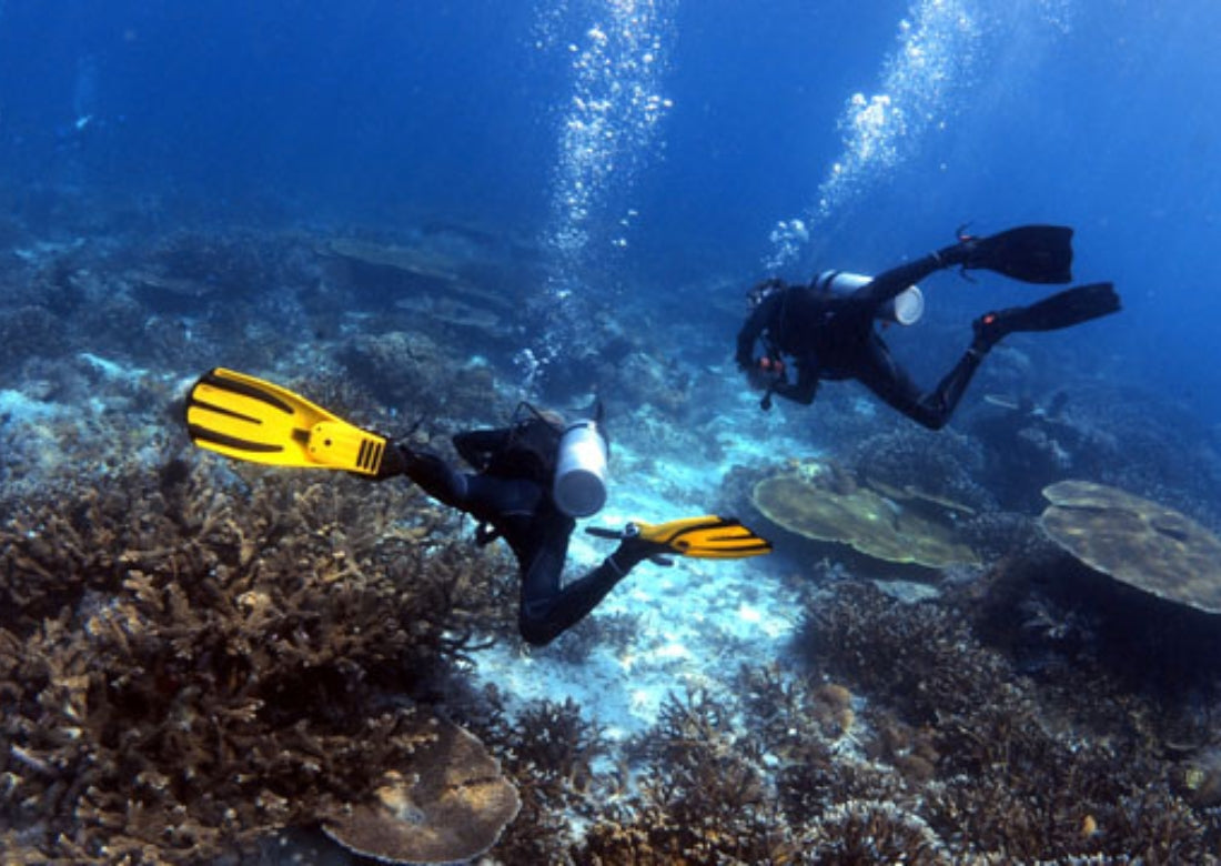 Bonaire Trip