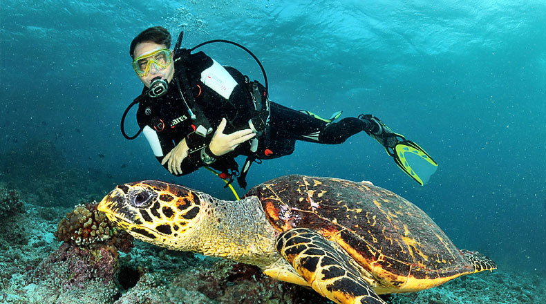 How Do Divers Control Buoyancy Underwater? Expert Tips & Techniques