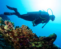 Basic Principles of Light Underwater