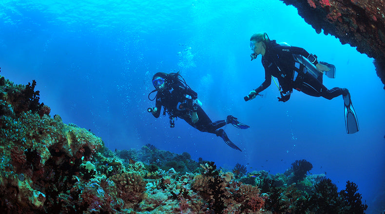 Scuba Skills: Natural Navigation
