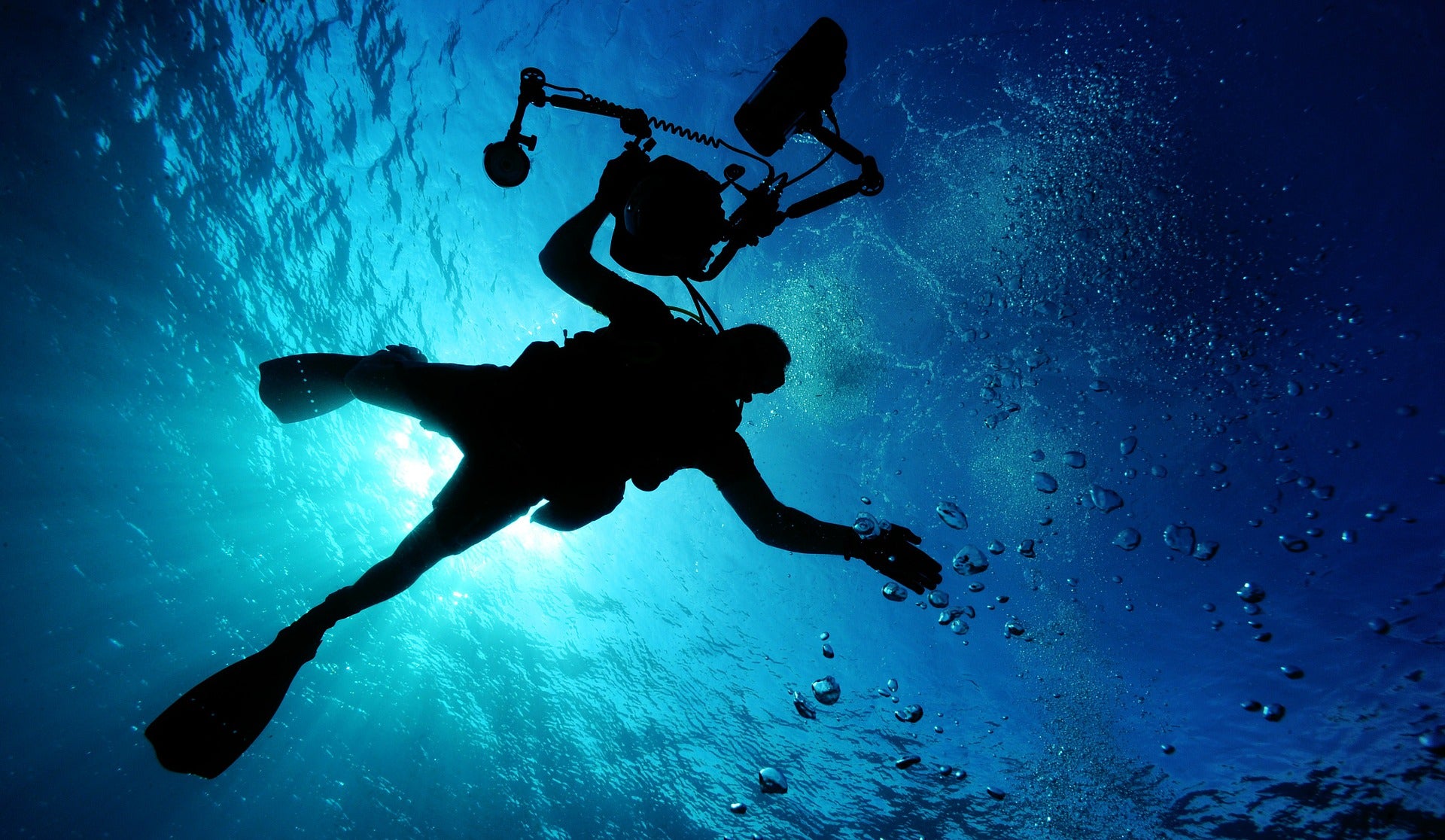 5 Ocean Documentaries You Should Totally Watch