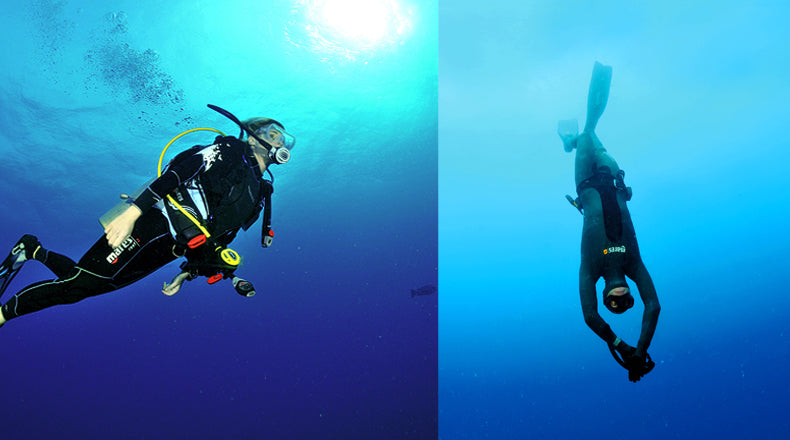 Scuba Diver Certification vs. Open Water Diver: Understanding the  Distinctions