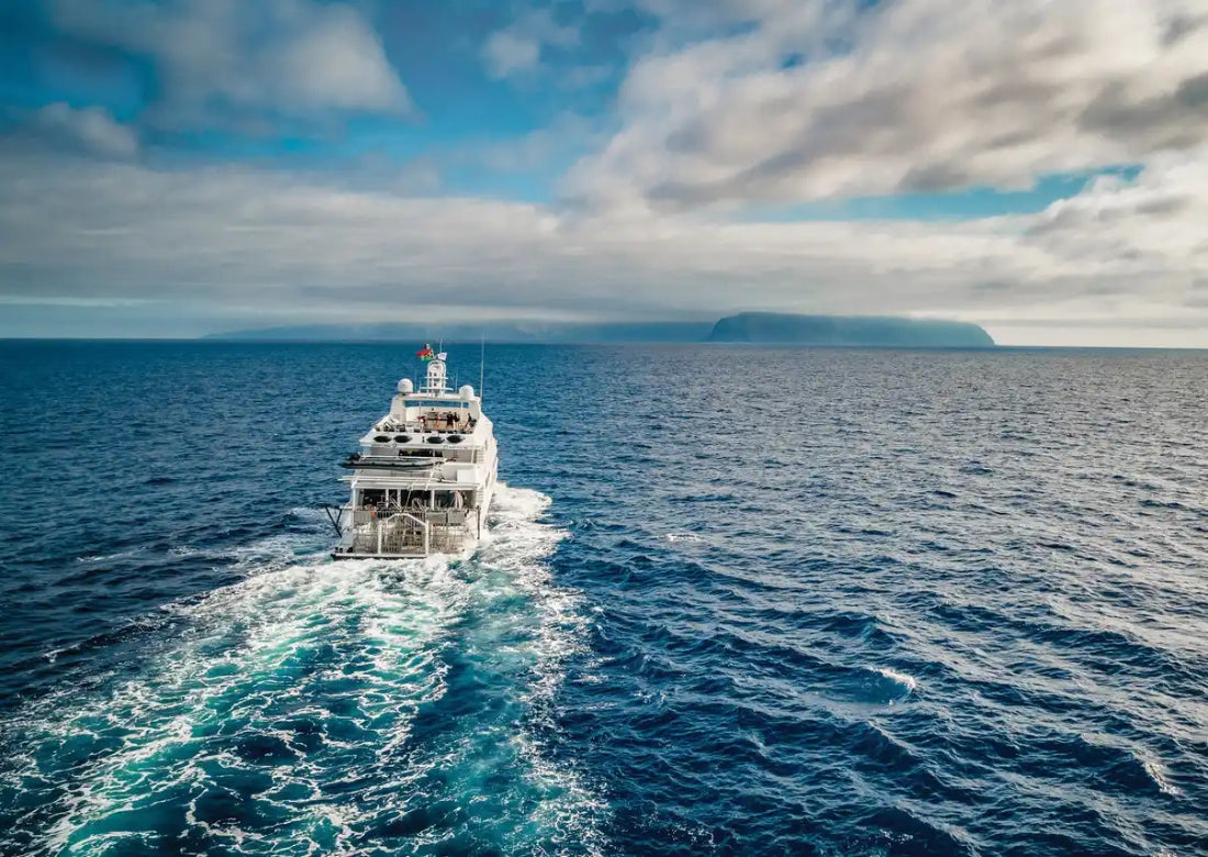 Sea of Cortez Liveaboard Trip