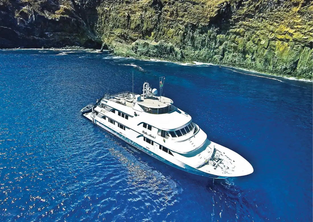 Socorro Liveaboard Trip