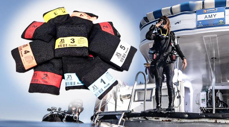Beginner Tips: Everything You Need to Know About Dive Weights