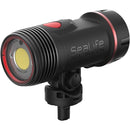SeaLife Sea Dragon 3000F Auto UW Photo Video Light (Head Only) - DIPNDIVE