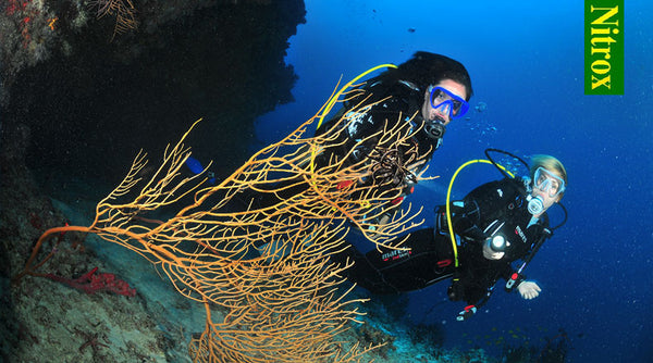 Benefits and Risks of Diving With Nitrox