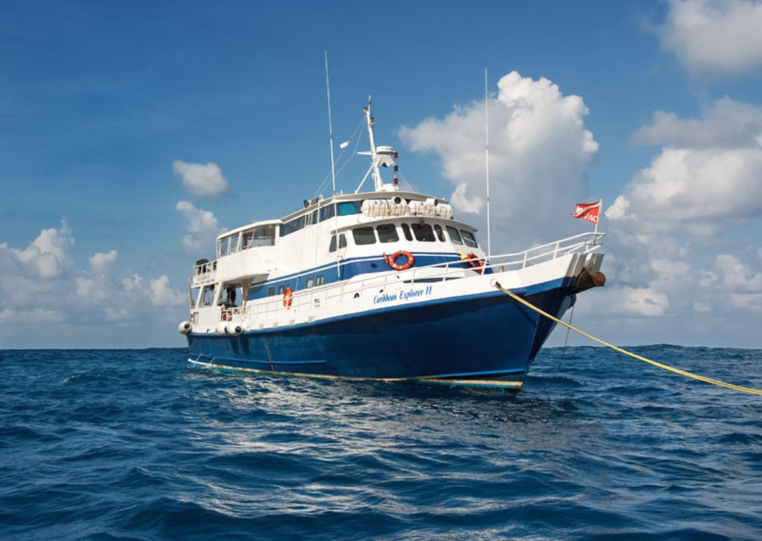 Saba & St. Kitts Liveaboard Trip