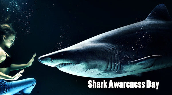 15 Things You Should Know About Sharks