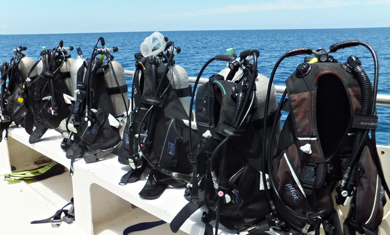 Gear Up According to The Waters You are Diving In