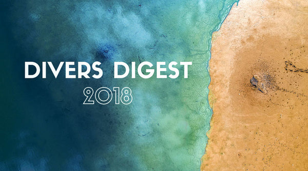 End of the Year Divers Digest: the Highlights of 2018