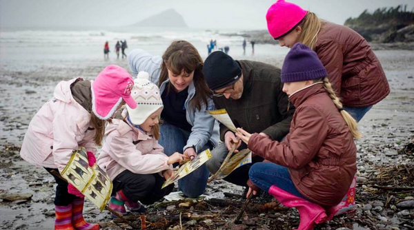 Shark Trust’s Great Eggcase Hunt - a Unique Activity for This Easter