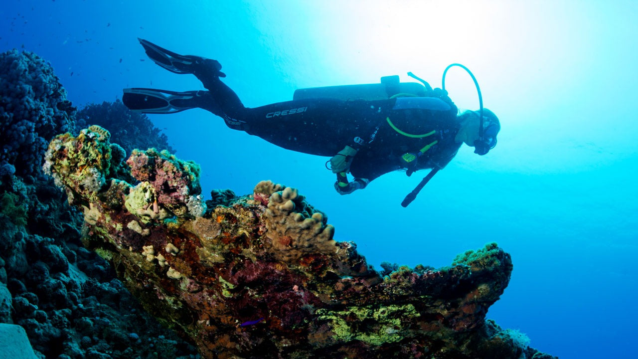 Basic Principles of Light Underwater