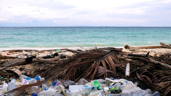 How Ocean Pollution Affects Humans and What We Can Do About It
