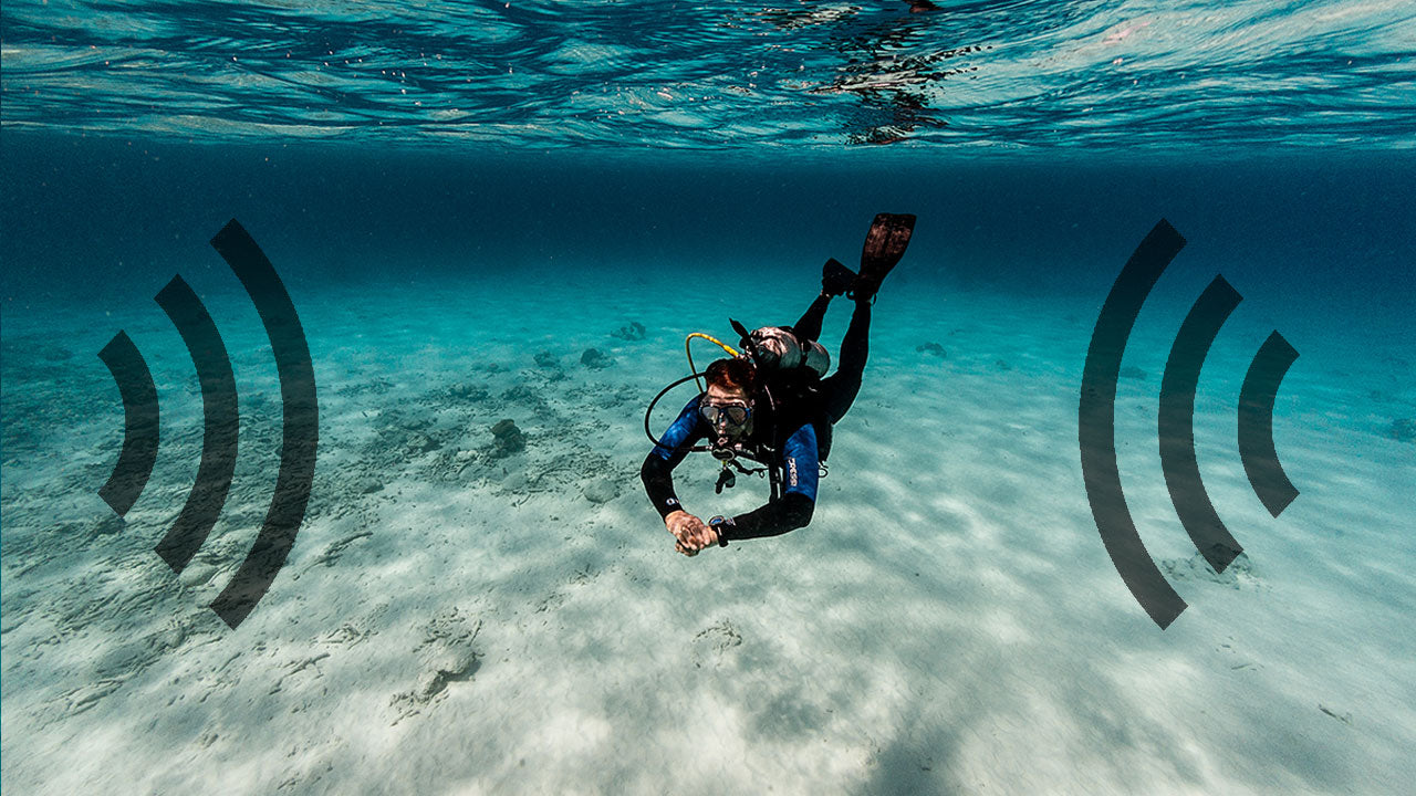 Ocean Sound and Underwater Noise Pollution