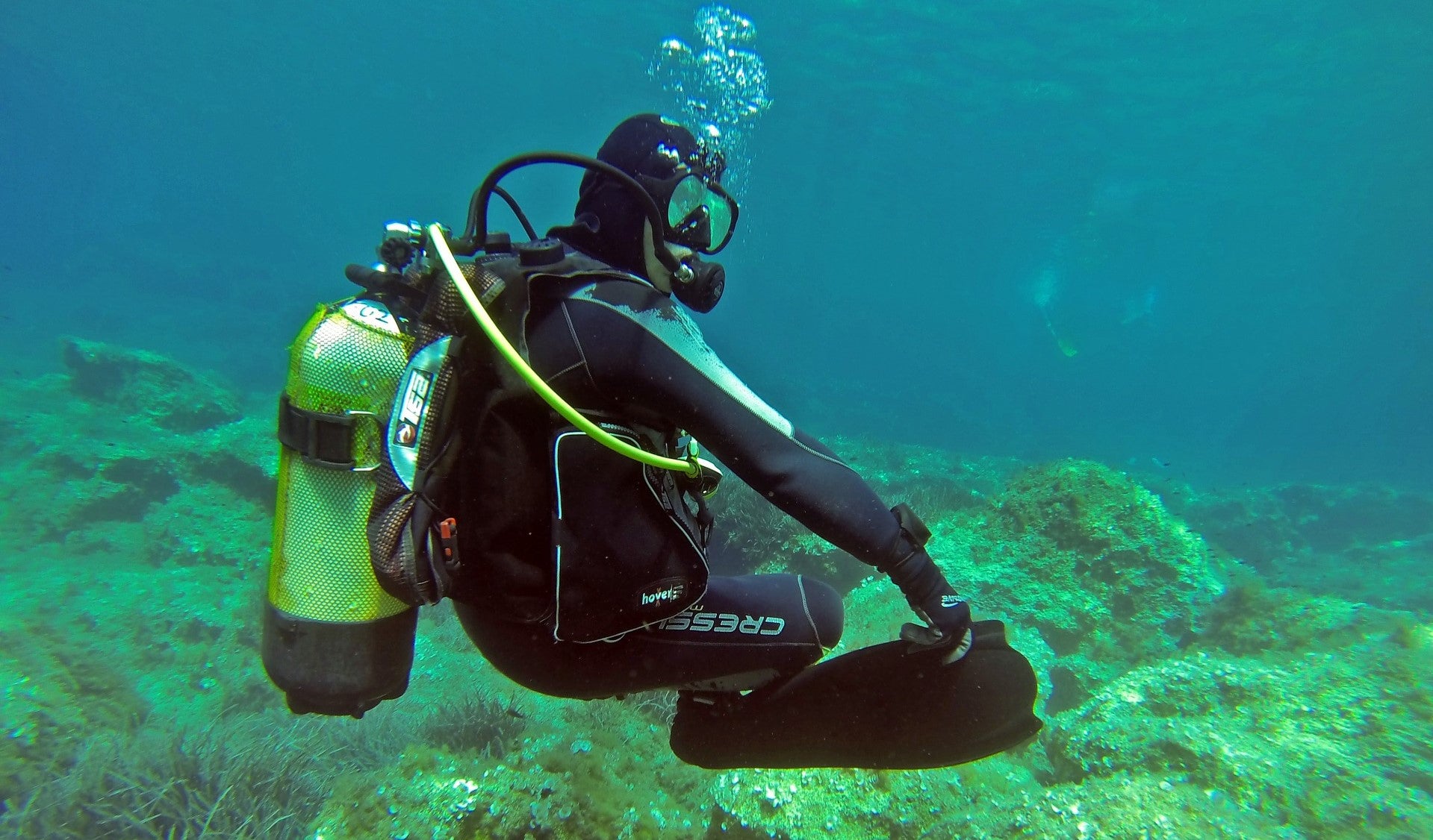 The Ultimate Guide to Freediving Weight Belts