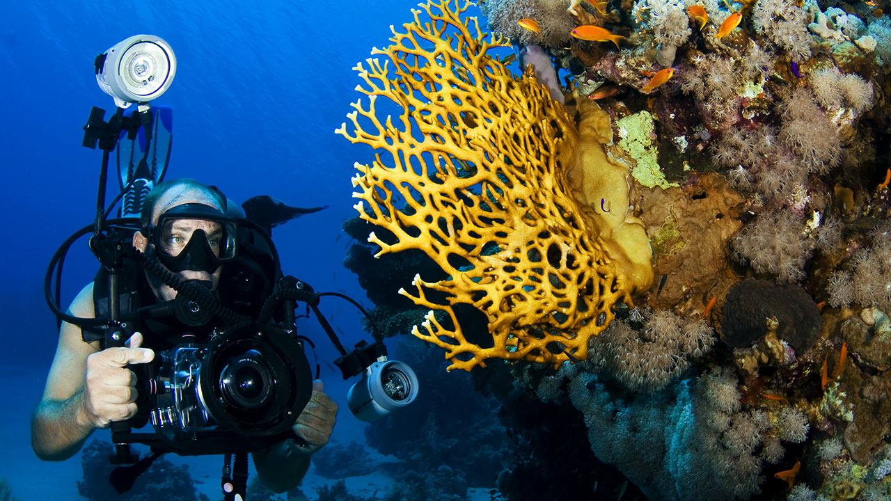 Underwater Photography Glossary