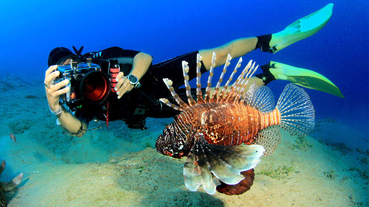 Traveling with Underwater Photography Gear: 5 Essential Tips