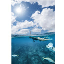 Riffe Kicks Rubber Swim Fins - DIPNDIVE