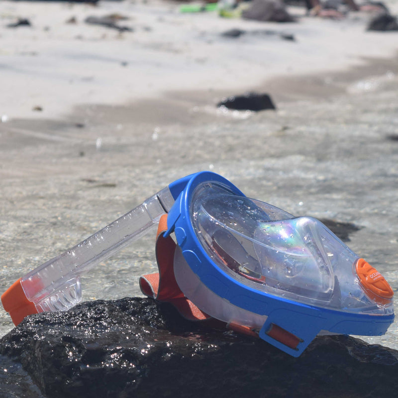 Ocean Reef Aria Classic Full Face Snorkel Mask - DIPNDIVE