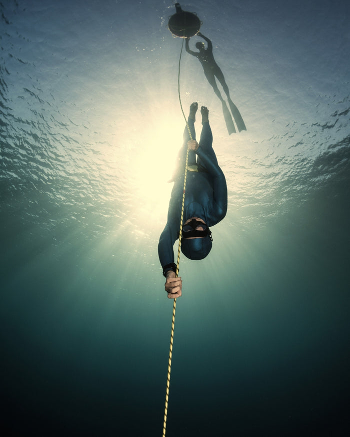 Freedive & Spearfish