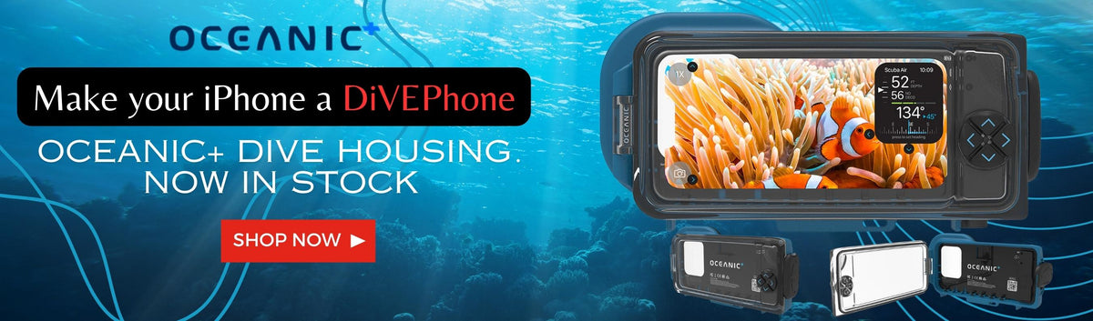 oceanic dive housing now in stock