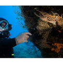 Orcatorch D580 Scuba Dive Light - DIPNDIVE