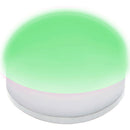 BigBlue Easy Clip Light - DIPNDIVE