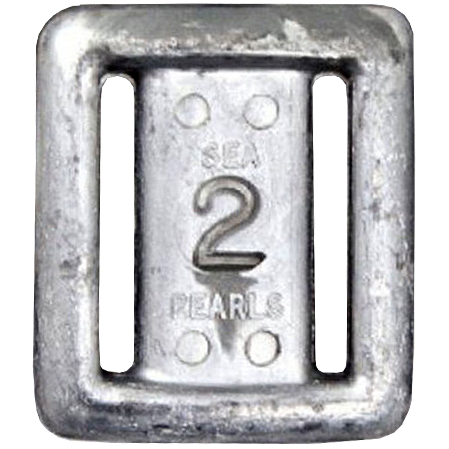 Shell Diving Weights Beginner Tips: Everything You Need to Know About Dive Weights | DIPNDIVE