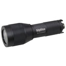 BigBlue AL450N 450-Lumen Narrow-Beam Dive Light - DIPNDIVE