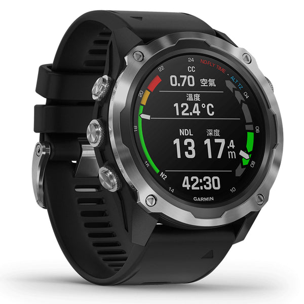 Garmin Descent Mk2 Stainless Steel with Black Band - DIPNDIVE