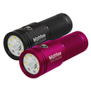 BigBlue VTL2600P 2600-Lumen Dual-Beam Light – Wide/Narrow - DIPNDIVE