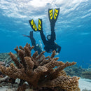 Tusa Hyflex Zoom Scuba Diving Fins - DIPNDIVE