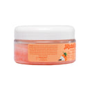 Land Shark Tropical Seas Mandarin Vanilla Sea Salt Scrub 9oz - DIPNDIVE