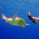 Ocean Reef ARIA QR+ Full Face Snorkeling Mask - DIPNDIVE