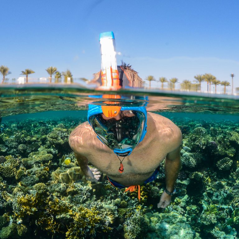 Ocean Reef ARIA QR+ Full Face Snorkeling Mask - DIPNDIVE