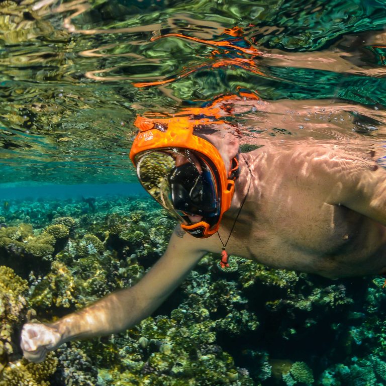 Ocean Reef ARIA QR+ Full Face Snorkeling Mask - DIPNDIVE