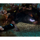 Orcatorch D580 Scuba Dive Light - DIPNDIVE